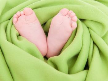 Quelle: © detailblick - Fotolia.com