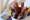 Quelle: © Stefano Reina - Fotolia.com