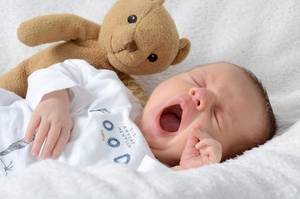 Quelle: © S.Kobold - Fotolia.com
