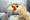 Quelle: Daria Miroshnikova - Fotolia.com