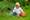 Quelle: lisalucia_fotolia.com